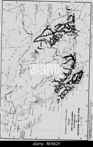 . Wälder von British Columbia [microform]. Die Wälder und die Forstwirtschaft; Forêts. Iil. Bitte beachten Sie, dass diese Bilder sind von der gescannten Seite Bilder, die digital für die Lesbarkeit verbessert haben mögen - Färbung und Aussehen dieser Abbildungen können nicht perfekt dem Original ähneln. extrahiert. Whitford, Harry Nichols; Leavitt, Clyde; Craig, Roland D., b. 1879; Kanada. Kommission der Erhaltung; Kanada. Kommission der Erhaltung. Ausschusses für Wälder. Ottawa: die Kommission der Erhaltung Stockfoto