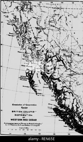 . Wälder von British Columbia [microform]. Die Wälder und die Forstwirtschaft; Forêts. . Bitte beachten Sie, dass diese Bilder sind von der gescannten Seite Bilder, die digital für die Lesbarkeit verbessert haben mögen - Färbung und Aussehen dieser Abbildungen können nicht perfekt dem Original ähneln. extrahiert. Whitford, Harry Nichols; Leavitt, Clyde; Craig, Roland D., b. 1879; Kanada. Kommission der Erhaltung; Kanada. Kommission der Erhaltung. Ausschusses für Wälder. Ottawa: die Kommission der Erhaltung Stockfoto