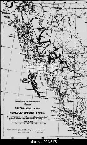 . Wälder von British Columbia [microform]. Die Wälder und die Forstwirtschaft; Forêts. . Bitte beachten Sie, dass diese Bilder sind von der gescannten Seite Bilder, die digital für die Lesbarkeit verbessert haben mögen - Färbung und Aussehen dieser Abbildungen können nicht perfekt dem Original ähneln. extrahiert. Whitford, Harry Nichols; Leavitt, Clyde; Craig, Roland D., b. 1879; Kanada. Kommission der Erhaltung; Kanada. Kommission der Erhaltung. Ausschusses für Wälder. Ottawa: die Kommission der Erhaltung Stockfoto