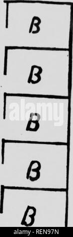 . Studien in der Pferdezucht [microform]: Eine illustrierte Abhandlung über die Wissenschaft und Praxis der Pferdezucht. Chevaux; Pferde; Pferde; Chevaux. HAH - M&gt; itAk. N L) lir, I) | (, W) Stock. Die fl,", r ist cni-ntc. l throiiph-. m. TIum, - ist der Raum f r 100 Tonnen oder mure oi Heu. Die Kosten compk-tf war. Sl, "25 A. a. Bitte beachten Sie, dass diese Bilder sind von der gescannten Seite Bilder, die digital für die Lesbarkeit verbessert haben mögen - Färbung und Aussehen dieser Abbildungen können nicht perfekt dem Original ähneln. extrahiert. Carlson, George Lloyd, 1854 -. [Winnipeg? : N. n. ] Stockfoto