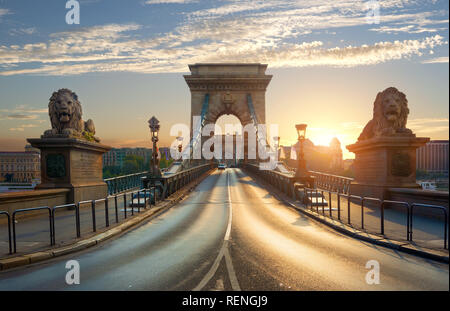 Statuen der Löwen auf die Kettenbrücke in Budapest bei Sonnenaufgang, Ungarn Stockfoto