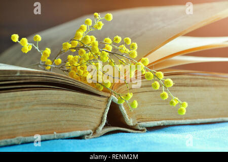 Frühling Hintergrund. Altes Buch mit gelben Mimosen Blüten öffnen. Der Frühling noch Leben in sonnigen warmen Tönen. Selektiver Fokus zu rücken des Buches - Flaches dept