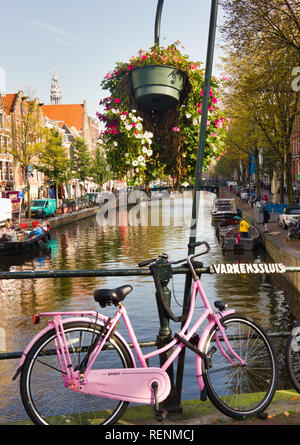 Rosa oben sitzen und Fahrrad auf Varkenssluis über dem Oudezijds Voorburgwal Canal, Red Light District, Amsterdam, Holland, Europa beg Stockfoto