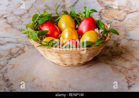 Ostereier im Korb. Ostereier auf Marmor Hintergrund. Ein Zweig von Grün. Bunte Ostereier in einem Korb. Stockfoto