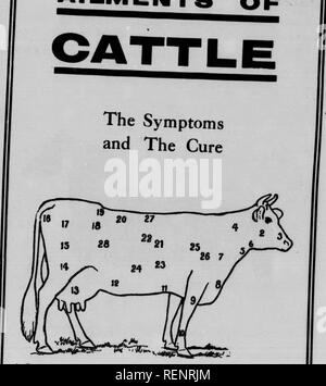 . Der Tierarzt. buchen, oder Tier Arzt [microform]. Pferde; Bétail; Chevaux; Veterinärmedizin; Nutztiere; Médecine vétérinaire. . Bitte beachten Sie, dass diese Bilder sind von der gescannten Seite Bilder, die digital für die Lesbarkeit verbessert haben mögen - Färbung und Aussehen dieser Abbildungen können nicht perfekt dem Original ähneln. extrahiert. Martin, Bole &Amp; Wynne Co Winnipeg: Martin, Bole &Amp; Wynne Stockfoto