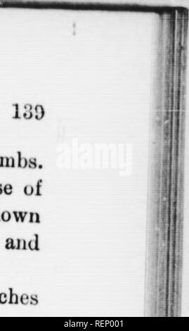 . Eine elementare Kurs in praktische zoÃ¶ Logie [microform]. Zoologie; Zoologie. IIEAKT UND LI; n "JS Ol Säugetier. branciies, die den Kopf und Gliedmaßen. Cuin]) iire die Zweige, wie hier gefunden, mit denen der Aorta des Kaninchens und der menschlichen aorta als durch die Kürzungen in jedem Text angezeigt - das Buch der menschlichen Anatomie und Physiologie. 15. Jetzt die Lungenschlagader und seine zwei Tranchen trace, wie sie Subdivide auf der rechten und linken''â'^Rg. 16. Die äste, die Bronchien, der Wii. dpipe zu den Lungen. Folie, w einen bronchus wie es di^ Tribut ^. l durch die Lunge. Die Struktur der Luni ine Rt beobachten Stockfoto