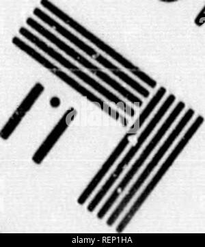 . Englisch Bäume und Bäume gepflanzt [microform]. Bäume; Arbres. /A PhotograpMc Sciences Corporation. Bitte beachten Sie, dass diese Bilder sind von der gescannten Seite Bilder, die digital für die Lesbarkeit verbessert haben mögen - Färbung und Aussehen dieser Abbildungen können nicht perfekt dem Original ähneln. extrahiert. Ablett, William H. London: Smith, Elder Stockfoto