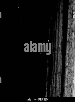 . Geschichte der Expedition unter dem Kommando von Lewis und Clark, zu den Quellen des Missouri River, von dort über die Rocky Mountains und die Columbia River bis zum Pazifischen Ozean [microform]: In den Jahren 1804-5-6 im Auftrag der Regierung der Vereinigten Staaten durchgeführt werden. Lewis und Clark Expedition; Lewis und Clark Expedition; Botanik; Zoologie; Botanique; Zoologie; Indianer Nordamerikas; Indiens d'In. M'f I [.. 1130 ZU DEN DREI GABELN DES MISSOURI, nel. Erschwert durch eine hohe Südwest Wind, der ein ^d'r^ TJ^^^^^'^'^ y" Brunnen in {s. j^), das Viertel ein Stockfoto
