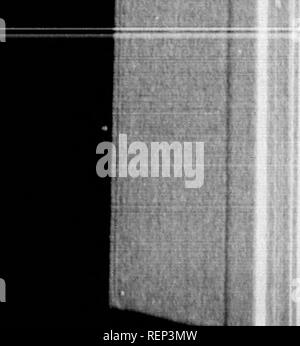 . Ein Lehrbuch der wirbellosen Morphologie [microform]. Wirbellose; Morphologie (Tiere); Invertébrés; Morphologie (ANIMAUX). 400 INVEHTEBRATE MORPHOLOGIE. Die meisten Teil des Stiels sind die beiden Acuta (Sc), während über das sind die terga{te), auch gekoppelt, die Öffnung in die In-terior liegen zwischen der terga und die scuta von gegenüberliegenden Seiten. In Scalpellmn zwischen den beiden scuta ein sechster, ungepaarte, Stück, das Rostrum, eingesetzt wird, und in der gleichen Gattung zwischen den scuta, terga und Carina und dem Gipfel des Bedienhebels kleine Zubehör Stück auftreten; und wenn man sich vorstellt, ein verschwinden. Bitte beachten Sie, dass Stockfoto