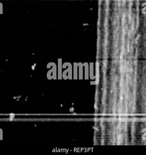 . Geschichte der Expedition unter dem Kommando von Lewis und Clark, zu den Quellen des Missouri River, von dort über die Rocky Mountains und die Columbia River bis zum Pazifischen Ozean [microform]: In den Jahren 1804-5-6 im Auftrag der Regierung der Vereinigten Staaten durchgeführt werden. Lewis und Clark Expedition; Lewis und Clark Expedition; Botanik; Zoologie; Botanique; Zoologie; Indianer Nordamerikas; Indiens d'In. Il'f ft'! 1 r. 1040 CAMP CHOPUNNISH evakuiert. Gleiche Höhe wie als wir hier angekommen sind; ein Umstand, den die Indianer als Hinweis auf die Zeit, in der die moun enthält ma prüfen Stockfoto