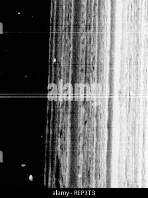 . Geschichte der Expedition unter dem Kommando von Lewis und Clark, zu den Quellen des Missouri River, von dort über die Rocky Mountains und die Columbia River bis zum Pazifischen Ozean [microform]: In den Jahren 1804-5-6 im Auftrag der Regierung der Vereinigten Staaten durchgeführt werden. Lewis und Clark Expedition; Lewis und Clark Expedition; Botanik; Zoologie; Botanique; Zoologie; Indianer Nordamerikas; Indiens d'AmÃ©rique. ') Il lifc -' w^'' --* - "wi"! R T1 "I1; i i i 1 Kranke H i. I0 l 6 MERKMALE DER CHOPUNNISH. In den hohen Ebenen; die Sonne scheint mit intensiver Hitze im Co Stockfoto