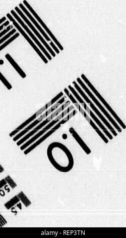 . Geschichte der Expedition unter dem Kommando von Lewis und Clark, zu den Quellen des Missouri River, von dort über die Rocky Mountains und die Columbia River bis zum Pazifischen Ozean [microform]: In den Jahren 1804-5-6 im Auftrag der Regierung der Vereinigten Staaten durchgeführt werden. Lewis und Clark Expedition; Lewis und Clark Expedition; Botanik; Zoologie; Botanique; Zoologie; Indianer Nordamerikas; Indiens d'AmÃ©rique. &Amp;â. Bitte beachten Sie, dass diese Bilder aus gescannten Seite Bilder, die digital für die Lesbarkeit verbessert haben mögen - Färbung und Aussehen dieser Illus extrahiert werden Stockfoto