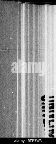 . Ein Lehrbuch der wirbellosen Morphologie [microform]. Wirbellose; Morphologie (Tiere); Invertébrés; Morphologie (ANIMAUX). 11 LL-Nr. 376 INVEHTEDIiA TK MOlil" lIOLOG Y. tern aucl für die attaclimeut der Muskeln an den Seiten der Hauptpolymerkette Änderungen dienen. In Formularen mit einem bivalved shell Adduktormuskeln für seine Schließung sind frequenth" entwickelt; und in den höheren Krebstiere, in der die sogenannte Magen ist in der Regel mit einer Reihe von chitiuous teetli, spezielle Muskeln für ihre Bewegung entwickelt werden. Die ccelom der Crustacea besteht zum größten Teil aus einer Reihe von caviti Stockfoto