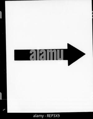 . Geschichte der Expedition unter dem Kommando von Lewis und Clark, zu den Quellen des Missouri River, von dort über die Rocky Mountains und die Columbia River bis zum Pazifischen Ozean [microform]: In den Jahren 1804-5-6 im Auftrag der Regierung der Vereinigten Staaten durchgeführt werden. Lewis und Clark Expedition; Lewis und Clark Expedition; Botanik; Zoologie; Botanique; Zoologie; Indianer Nordamerikas; Indiens d'In. . Bitte beachten Sie, dass diese Bilder aus gescannten Seite Bilder, die digital für die Lesbarkeit verbessert haben mögen - Färbung und Aussehen dieser Abbildung extrahiert werden Stockfoto