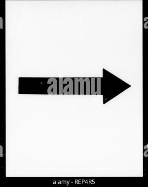 . Klasse - das Buch der Botanik [microform]: die Konturen der Struktur, Physiologie und Klassifizierung von Pflanzen: Mit einem Flora von den Vereinigten Staaten und Kanada. Botanik; Botanik; Pflanzen; pflanzen; Botanique; Botanique; Plantes; Botanique. . Bitte beachten Sie, dass diese Bilder sind von der gescannten Seite Bilder, die digital für die Lesbarkeit verbessert haben mögen - Färbung und Aussehen dieser Abbildungen können nicht perfekt dem Original ähneln. extrahiert. Holz, Alphonso, 1810-1881. New York; Chicago: A. S. Barnes; Troy, N.Y.: H.B. Nims Stockfoto