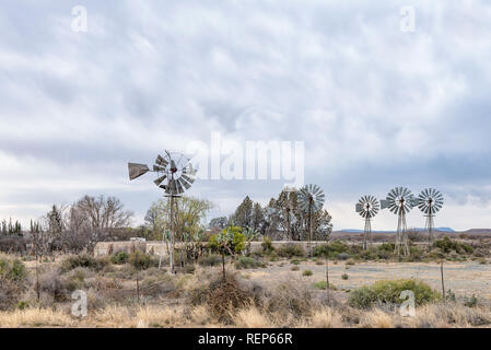 Sechs Wasser-pumpt, Windmühlen und Dämme zwischen Vosburg und Britstown in der Northern Cape Provinz Stockfoto