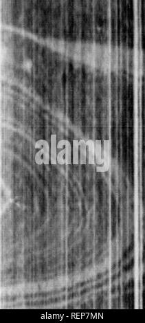 . Die illustrierte Naturgeschichte [microform]. Vögel; Naturgeschichte; Oiseaux; Baron. UUI "FKIJ illiol. SlO.-7V (/u.i iimhell,,,. Dieses l. ird imirs im April, und luiilds sein Nest in IMay, tlie jdacin - es auf Masse am vootof ein Busch oder u Stumpf, und zur Festlegung von neun auf 'lifteeu braun-weiße Eier. Die iiinther - Vogel hat eine sy. stcm tVoin deeoying Eindringlinge von ihrem Nest, sehr ähnlich, die lias tlTiit ahvady beiMi in eonncxion mit mehreren anderen] erwähnt) ir-'ds. Die beste Zeit für."^] Die li'utfed Grouse ist September und Oktober lootillg, wenn es sehr fett, in Fed ou whorlle-l Stockfoto