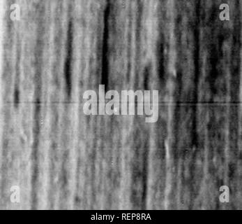 . Reisen in Nordamerika [microform]: Mit seinen natürlichen Geschichte und Indizien der Plantagen und der Landwirtschaft im Allgemeinen: Mit den zivilen, kirchlichen und wirtschaftlichen Zustand des Landes und die Sitten der Einwohner, und mehrere neugierig und wichtige Erläuterungen zu verschiedenen Themen. Natural History; Naturgeschichte; Naturgeschichte; Baron, Baron, Baron. Penfyhania, Tbiladelphta. 87 wenig, oder gar nicht, und vor allem gelebt auf Jagd und firhing. Die Wälder haben deshalb nie eingemischt wurde, mit der Ausnahme, dass ein fometimes Stockfoto