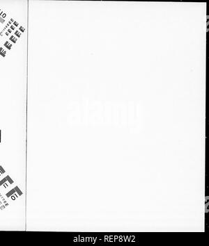 . Die illustrierte Naturgeschichte [microform]. Vögel; Naturgeschichte; Oiseaux; Baron. ^^: % ^. '^s. ^.^. Bitte beachten Sie, dass diese Bilder sind von der gescannten Seite Bilder, die digital für die Lesbarkeit verbessert haben mögen - Färbung und Aussehen dieser Abbildungen können nicht perfekt dem Original ähneln. extrahiert. Holz, J. G. (John George), 1827-1889. London: Routledge, Warne und Routledge Stockfoto