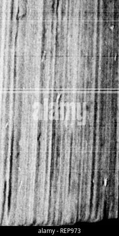 . Reisen in Nordamerika [microform]: Mit seinen natürlichen Geschichte und Indizien der Plantagen und der Landwirtschaft im Allgemeinen: Mit den zivilen, kirchlichen und wirtschaftlichen Zustand des Landes und die Sitten der Einwohner, und mehrere neugierig und wichtige Erläuterungen zu verschiedenen Themen. Natural History; Naturgeschichte; Naturgeschichte; Baron, Baron, Baron. Ozean zwischen Europa und Amerika. f S "pt, 12. Wir waren an diesem Tag Flaute, und wie wir in diesem fituation obferved a (liip, die wir eine fufpedled Spanijh privateer, unser Stockfoto