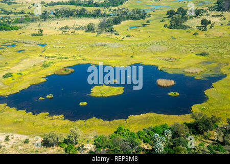 Okavango Delta, Botswana Stockfoto