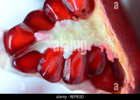 Granatapfel Samen, Punica granatum Stockfoto