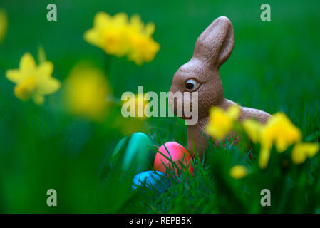 Schokolade Osterhasen und Ostereier Stockfoto