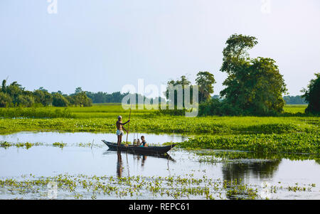 Vater und Sohn Netze und Traps für Shell Fisch in der Dämmerung in einer Lagune in ihren traditionellen Einbaum hölzernes Boot in der Monsunzeit, Majuli, Assam, Indien. Stockfoto