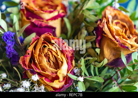 Nahaufnahme einer Bukett von getrockneten Rosen und verschiedenen einander ergänzenden Anlagen. Stockfoto