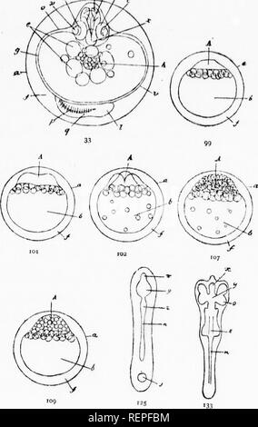 . Häuslich Forellen [microform]: Wie zu züchten und sie wachsen. Fisch Kultur; Forellen; Fischzucht; Truite. 144 DOMESTIZIERTE TKOUT.. Bitte beachten Sie, dass diese Bilder sind von der gescannten Seite Bilder, die digital für die Lesbarkeit verbessert haben mögen - Färbung und Aussehen dieser Abbildungen können nicht perfekt dem Original ähneln. extrahiert. Stein, Livingston, 1836-1912. Charlestown, N.H.: [s. n. ] Stockfoto