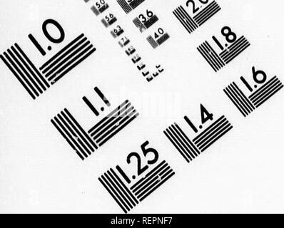 . Reisen in Nordamerika [microform]: Mit seinen natürlichen Geschichte und Indizien der Plantagen und der Landwirtschaft im Allgemeinen: Mit den zivilen, kirchlichen und wirtschaftlichen Zustand des Landes und die Sitten der Einwohner, und mehrere neugierig und wichtige Erläuterungen zu verschiedenen Themen. Natural History; Naturgeschichte; Naturgeschichte; Baron, Baron, Baron. Ein^%^^%... Bild TEST ZUR BEURTEILUNG ZIEL (MT-3). Bitte beachten Sie, dass diese Bilder aus gescannten Seite Bilder, die digital für readabilit gesteigert wurden extrahiert werden Stockfoto