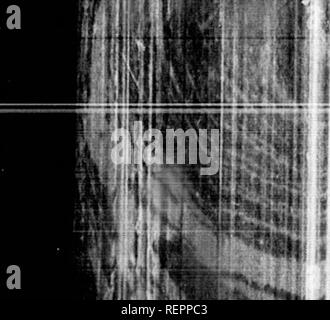 . Die illustrierte Naturgeschichte [microform]. Vögel; Naturgeschichte; Oiseaux; Sciences Naturelles. ml wenn ich ''Ich^^. Bitte beachten Sie, dass diese Bilder sind von der gescannten Seite Bilder, die digital für die Lesbarkeit verbessert haben mögen - Färbung und Aussehen dieser Abbildungen können nicht perfekt dem Original ähneln. extrahiert. Holz, J. G. (John George), 1827-1889. London: Routledge, Warne und Routledge Stockfoto