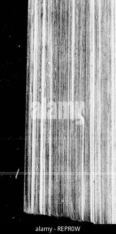 . Reisen in Nordamerika [microform]: Mit seinen natürlichen Geschichte und Indizien der Plantagen und der Landwirtschaft im Allgemeinen: Mit den zivilen, kirchlichen und wirtschaftlichen Zustand des Landes und die Sitten der Einwohner, und mehrere neugierig und wichtige Erläuterungen zu verschiedenen Themen. Natural History; Naturgeschichte; Naturgeschichte; Baron, Baron, Baron. &Gt; • i' •&gt;. November174?^ themfelvcs in die Fca, wurden nicht ftf^ iundcr. Sie hatten obferved, dass, wenn die heringe kam in ihre ipawn ipnng todcpofit, immer Iwa Stockfoto
