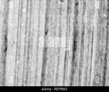 . Reisen in Nordamerika [microform]: Mit seinen natürlichen Geschichte und Indizien der Plantagen und der Landwirtschaft im Allgemeinen: Mit den zivilen, kirchlichen und wirtschaftlichen Zustand des Landes und die Sitten der Einwohner, und mehrere neugierig und wichtige Erläuterungen zu verschiedenen Themen. Natural History; Naturgeschichte; Naturgeschichte; Baron, Baron, Sciences Naturelles. Ich;^^. Bitte beachten Sie, dass diese Bilder aus gescannten Seite Bilder, die digital für die Lesbarkeit verbessert haben mögen - Färbung und Aussehen dieser Il extrahiert werden Stockfoto