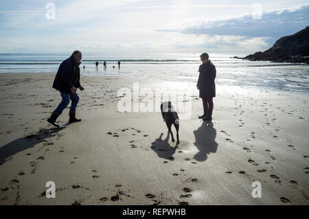 Hunde und ihre Besitzer auf dem silbrigen Sand von Wonwell Beach im Winter bei Ebbe, South Hams, Devon, Großbritannien Stockfoto