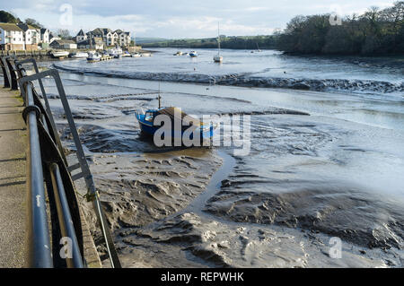 Ebbe in der mündung der ria of Kingsbridge, Kingsbridge, South Hams, Devon, Großbritannien Stockfoto