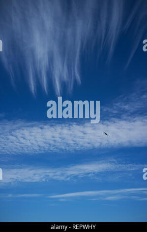 Interessante Wolkenformationen in einem blauen Himmel über der Süddevon-Küste im Frühjahr. Beesands, Großbritannien Stockfoto