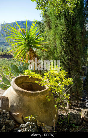 Töpferei Olivenöl Urne auf dem Land Andalusien, Spanien Stockfoto