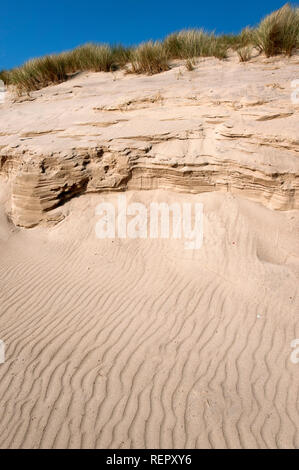 Sanddünen an der Druridge Bay, Northumberland Stockfoto