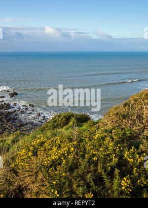 Schöne und malerische Küste bei Westward Ho in North Devon, England Stockfoto