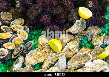 Verschiedene frische rohe Meeresfrüchte. Seeigel, Austern, Muscheln, Schnecken auf dem Markt. Stockfoto