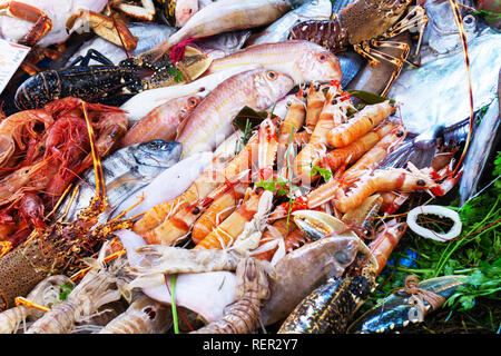 Verschiedene frische rohe Ocean (Meer) Fische und Meeresfrüchte auf dem Markt. Seeigeln, Muscheln, Austern, Tintenfisch, Garnelen, Hummer, Krabben. Vielzahl von marine Fa Stockfoto