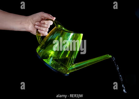 Grüne Gießkanne in der Hand und gießt Wasser auf schwarzem Hintergrund Stockfoto
