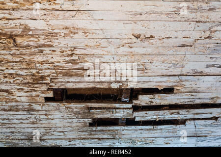 Close-up verblasster weiß lackiertem Holz beplankt mit Wasserflecken an der Decke in einem verwitterten alten Scheune Stockfoto