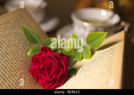 Ein romantisches Bild mit einer roten Rose auf ein altes Buch zur Hälfte geöffnet, mit einer Tasse Kaffee im Hintergrund alte Stockfoto