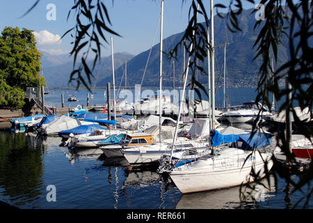 Schweiz Kanton Tessin Stadt Locarno Lago Maggiore See Boote am Liegeplatz im Jachthafen am See Stockfoto