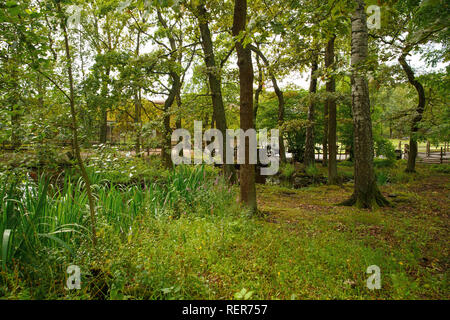 Ländliche Szene in Skansen, das erste Open-air Museum und Zoo, befindet sich auf der Insel Djurgården. Stockfoto