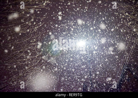Turnpike Lane, London, Großbritannien. 22. Januar 2019. Plötzlicher Schneefall im Norden von London. Quelle: Matthew Chattle/Alamy leben Nachrichten Stockfoto
