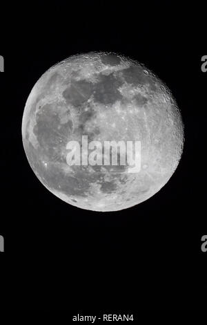 Kidderminster, Großbritannien. 22. Januar, 2019. UK Wetter: Mit klarem Himmel, der Mond ist deutlich zu sehen. Sind die Temperaturen unter Null für eine sehr kalte Nacht vor. Der Mond ist heute in einer abnehmenden Gibbous Phase (die erste Phase nach dem Vollmond), die mit 98% Beleuchtung. Kredit Lee Hudson/Alamy leben Nachrichten Stockfoto