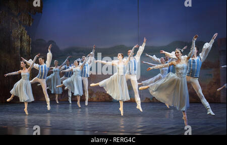 Hefei Hefei, China. 23 Jan, 2019. Hefei, China - Menschen genießen das Ballett Tanz Ã¢â'¬Å" Swan LakeÃ¢â'¬Â durch Russland Tschaikowsky Ballett in Hefei, Provinz Anhui im Osten Chinas. Credit: SIPA Asien/ZUMA Draht/Alamy leben Nachrichten Stockfoto